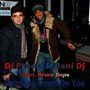 DJ Pruess & Dani DJ feat. Bruce Baps - Shinning Down on You