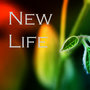 New Life