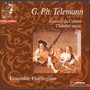 Telemann: Concerti da Camera