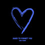 Hard to Forget You