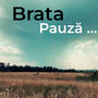 Pauză