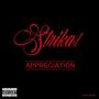 Appreciation (feat. C.Maestro) [Explicit]