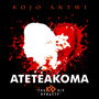 Ateteakoma