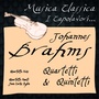 Johannes Brahms: Quartetti & Quintetti (Musica Classica - I Capolavori...)