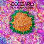 Necessarily (feat. Se'nam Palmer)