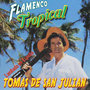 Flamenco Tropical