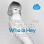 Who Is Hey (Remixes)