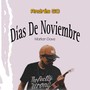 Días De Noviembre