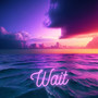 Wait (Harp Instrumental Cover)