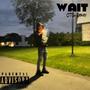 Wait (Explicit)