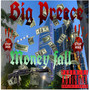 Money Fall (Explicit)