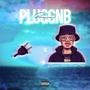 PluggnB (Explicit)