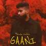 Gaani LoFi