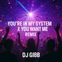 Your In My System DJ GIBB