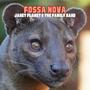 Fossa Nova
