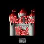 What You Want (Explicit)