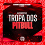 Automotivo Tropa dos Pitbull (Explicit)