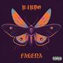 FALENA (Explicit)