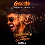 Trenzinho da Sacanagem (Groove Organizado)