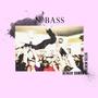 N Bass