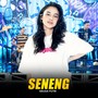 Seneng