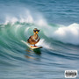 SURF (Explicit)