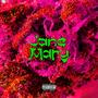 Jane Mary (feat. Jaidro) [Explicit]