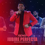 Iubire perfecta (Remix)