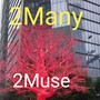 2Muse (Instrumental Versions)