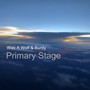 Primary Stage
