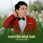 Chuyện Hoa Sim