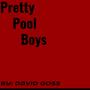 Pretty Pool Boys