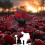 Remembrance Day Hymns