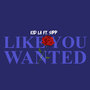 Like You Wanted (Explicit)