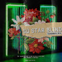 So Star Blind (Explicit)