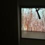 REGEN
