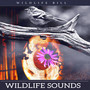 Wildlife Sounds