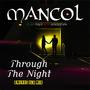 Through The Night (ameros old mix)