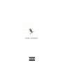 SKI THE SNOW (Explicit)