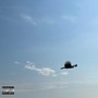 Vast Sea Pt.2 (Explicit)