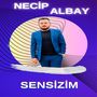 Sensizim