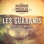 Les Idoles de la Musique Sud-Américaine: Les Guaranis, Vol. 2