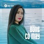 Bông Cỏ May (Beat)