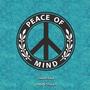 Peace of Mind (POM) (feat. Brownsilla) [Radio Edit]