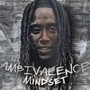 AMBIVALENCE MINDSET (Explicit)