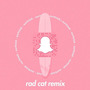 snapchat (Rad Cat Remix)