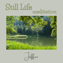 Still Life Meditation