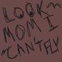 LOOK MOM I CAN'T FLY (Explicit)