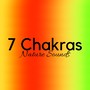 7 Chakras: Chakra Meditation New Age Music with Nature Sounds, Realignment, Visualization