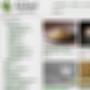 deep web (Explicit)